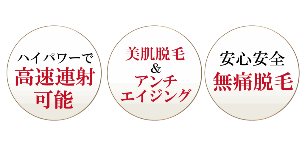 ペガサスプロ3つの特徴