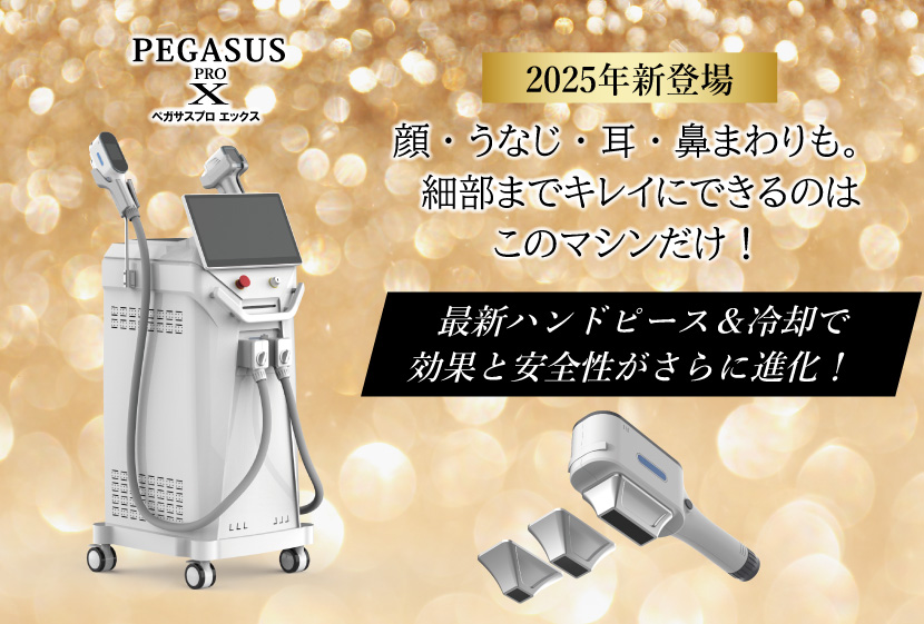 ペガサスプロX投稿画像－9年の歩み