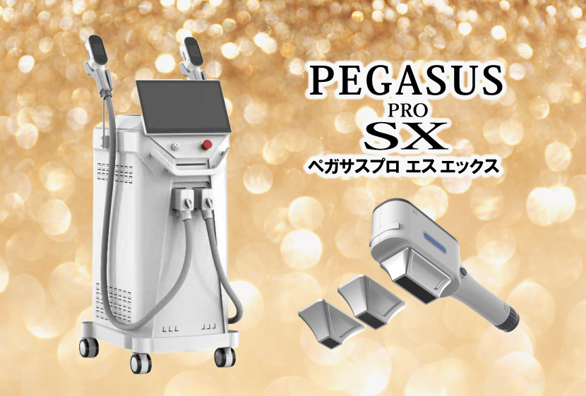 ペガサスプロX投稿画像‐SX画像に変更
