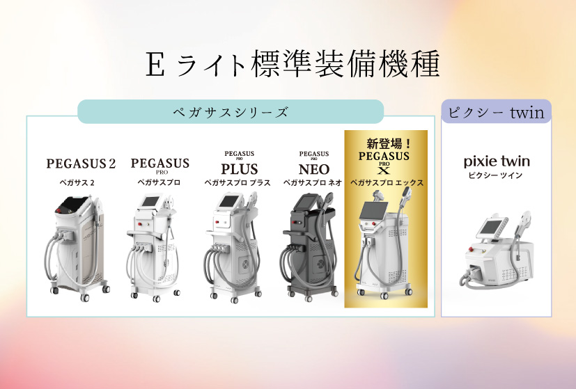 Eライト標準装備機種