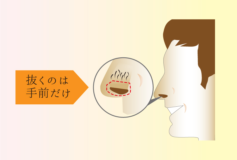 鼻毛脱毛脱毛箇所