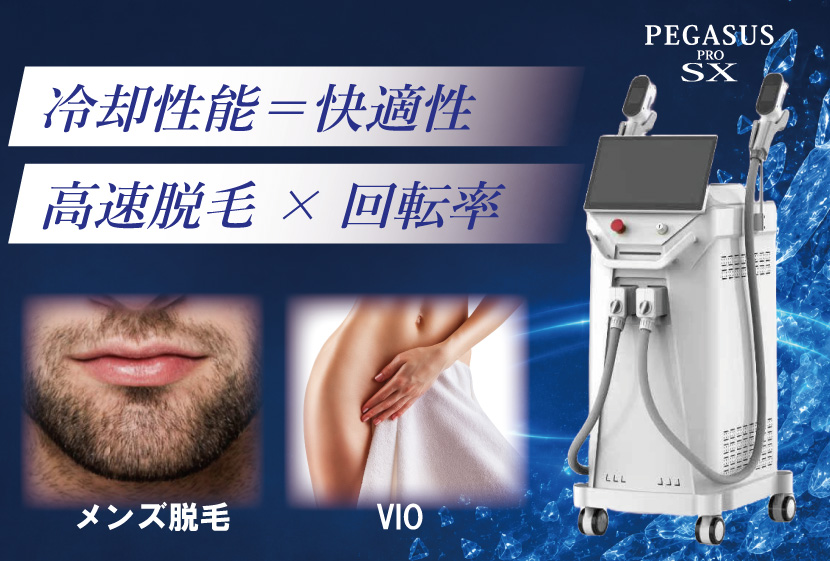 pegasus pro SX