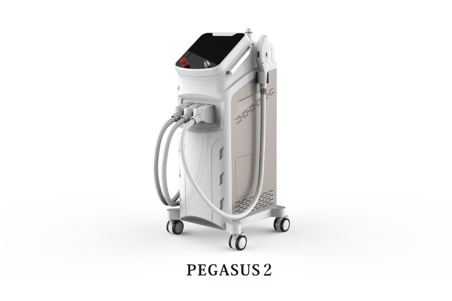 PEGASUS2本体画像